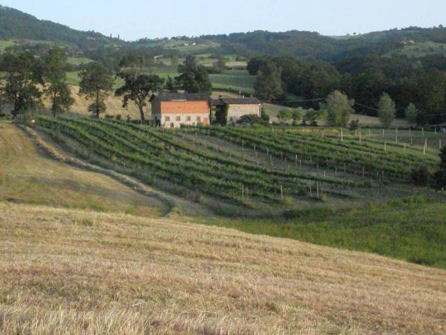 Rustico in vendita a Unione dei comuni del Distretto Ceramico, Prignano Sulla Secchia