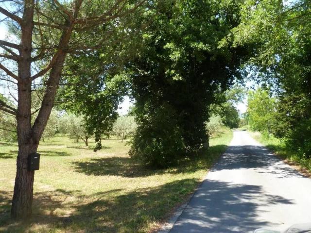 Rustico in vendita a Unione di Comuni Montani Colline del Fiora, Proceno
