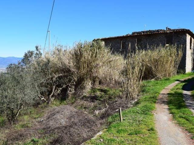 Rustico in vendita a Buriano, Quarrata