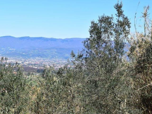 Rustico in vendita a Buriano, Quarrata