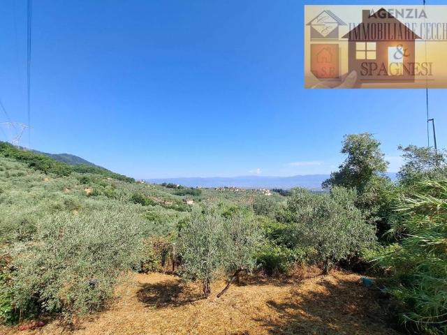Rustico in vendita a Buriano, Quarrata