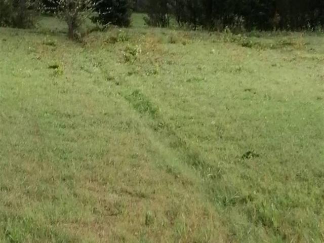 Rustico in vendita a Casini, Quarrata
