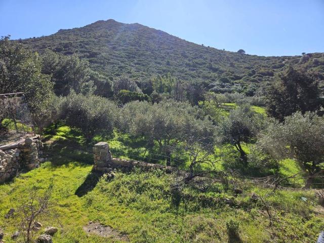 Rustico in vendita a Quartu Sant'elena, Sardigna/Sardegna