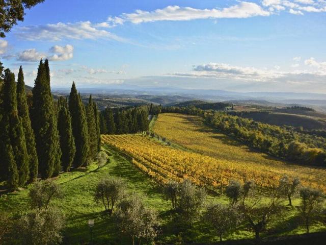 Rustico in vendita a Radda In Chianti, Toscana