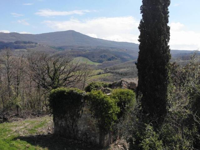 Rustico in vendita a Radicofani, Siena