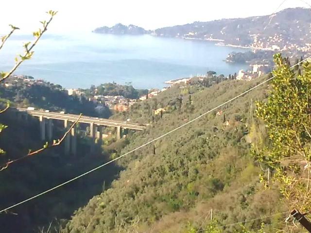 Rustico in vendita a Rapallo, Liguria