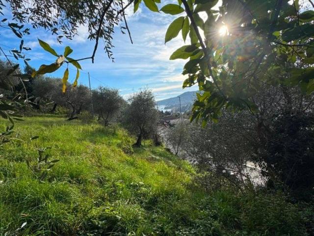 Rustico in vendita a San Michele di Pagana, Rapallo