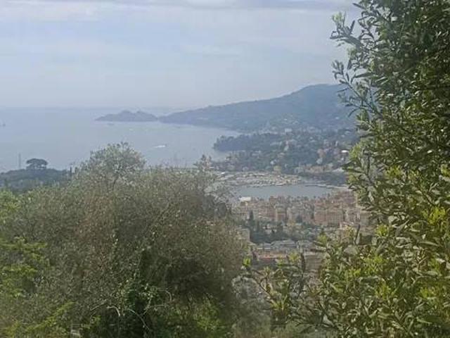 Rustico in vendita a Borzoli, Rapallo