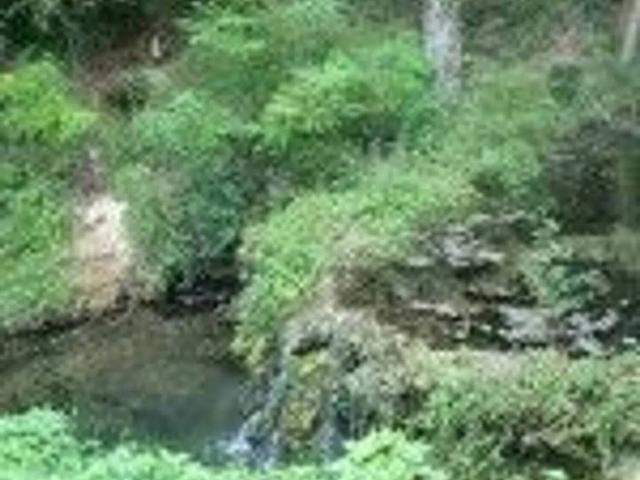 Rustico in vendita a Rapolano Terme, Toscana