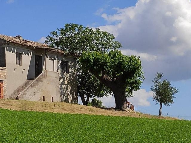 Rustico in vendita a Contrada Chiarino, Marche