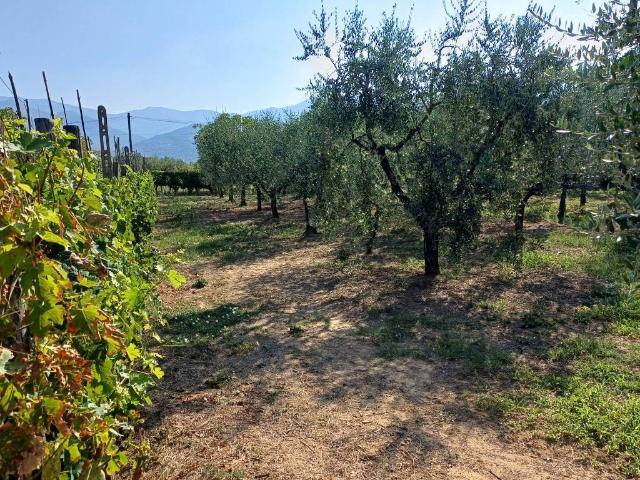 Rustico in vendita a Cascia, Reggello
