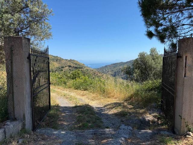 Rustico in vendita a Reitano, Sicilia