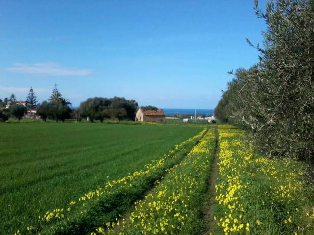 Rustico in vendita a Calabria, Vibo Valentia