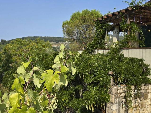 Rustico in vendita a Fattoria Torre a Cona, Rignano sull'Arno