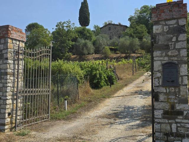 Rustico in vendita a Fattoria Torre a Cona, Rignano sull'Arno