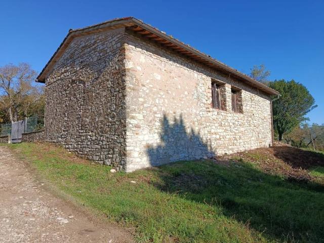 Rustico in vendita a Rignano Sull'arno, Toscana