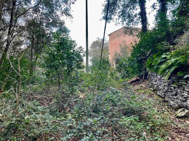 Rustico in vendita a Rio, Toscana