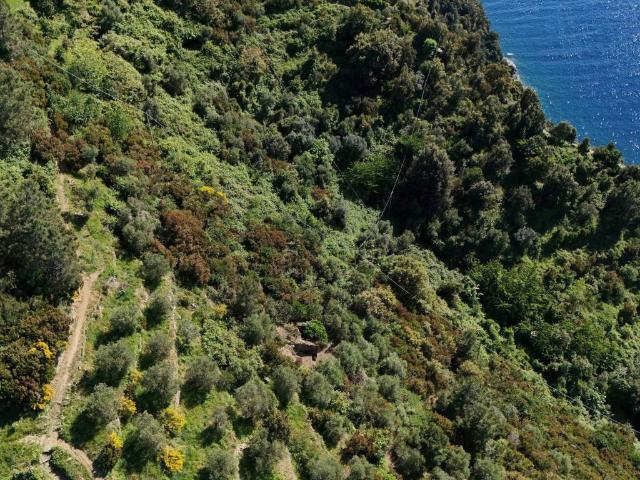 Rustico in vendita a Riomaggiore, Liguria