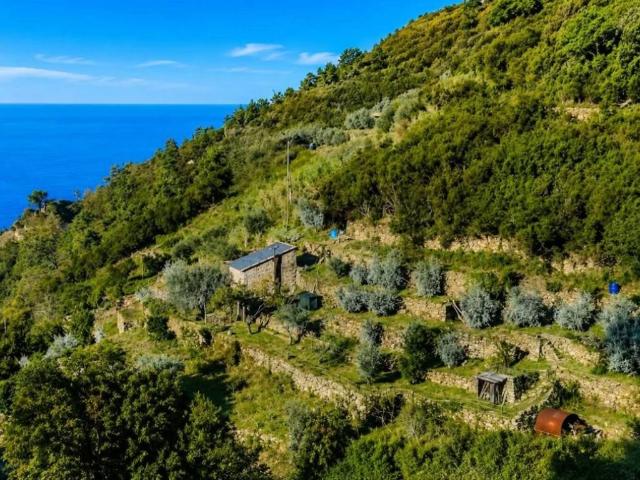 Rustico in vendita a Riomaggiore, Liguria