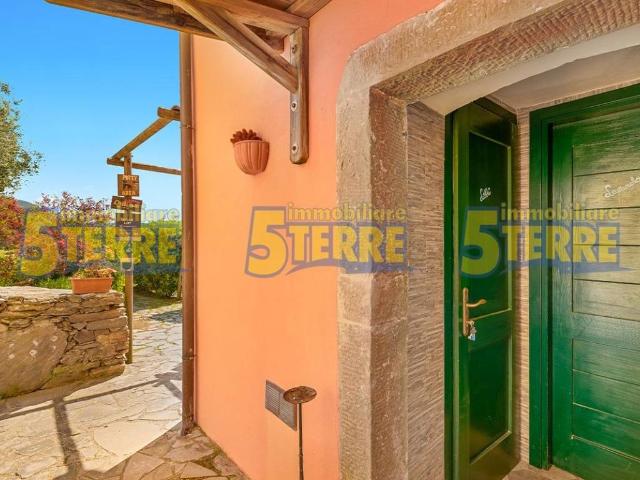 Rustico in vendita a Riomaggiore, Liguria