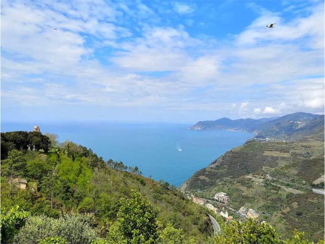 Rustico in vendita a Riomaggiore, Liguria