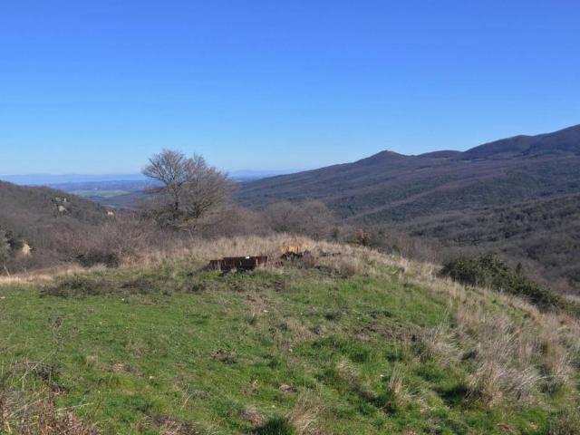 Rustico in vendita a Fornelli, Riparbella
