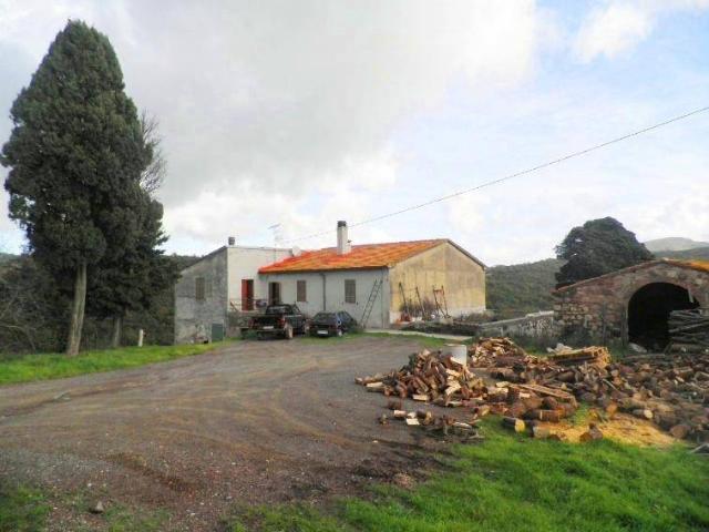 Rustico in vendita a Riparbella, Toscana