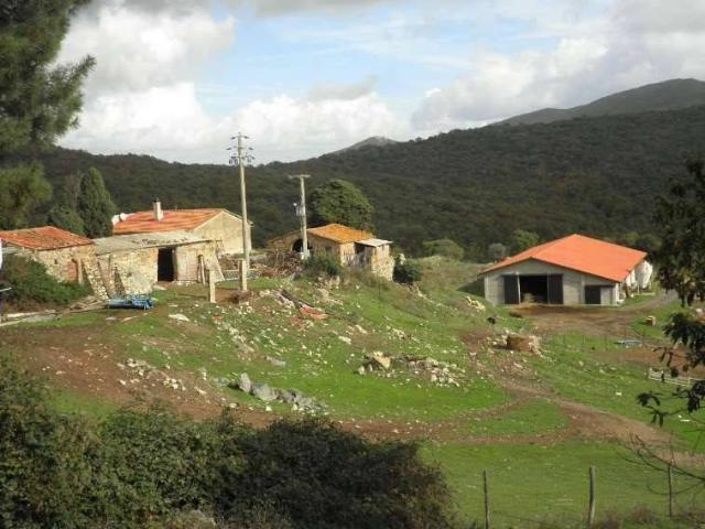 Rustico in vendita a Riparbella, Toscana
