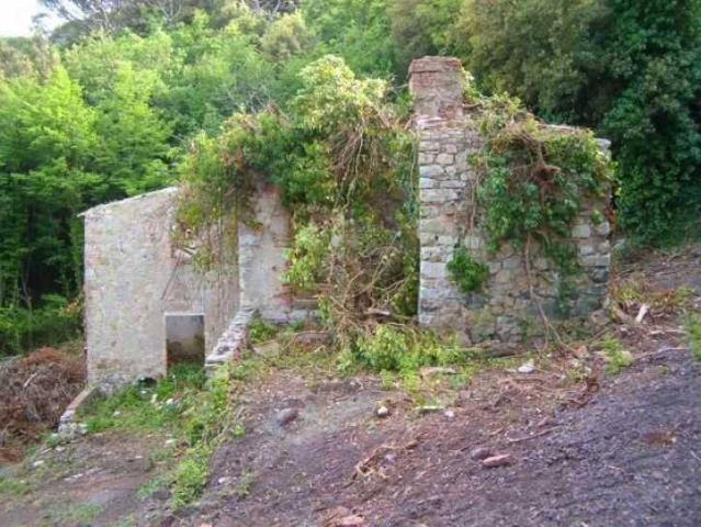 Rustico in vendita a Riparbella, Toscana