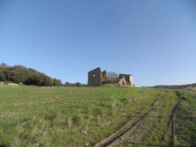 Rustico in vendita a Riparbella, Toscana