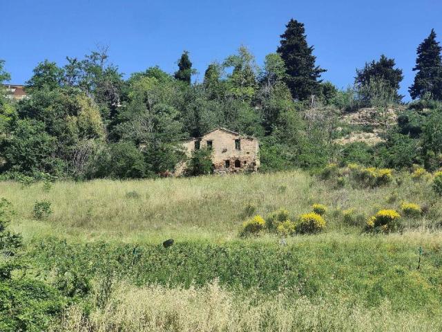 Rustico in vendita a Ripatransone, Ascoli Piceno
