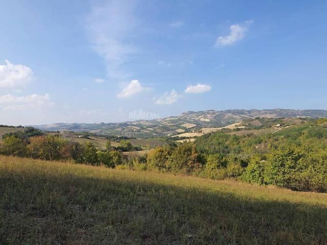 Rustico in vendita a Marche, Ascoli Piceno