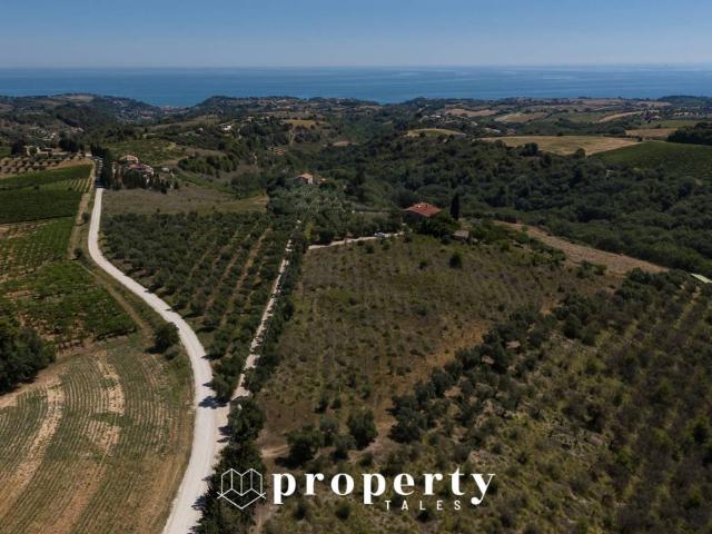Rustico in vendita a Ripatransone, Ascoli Piceno