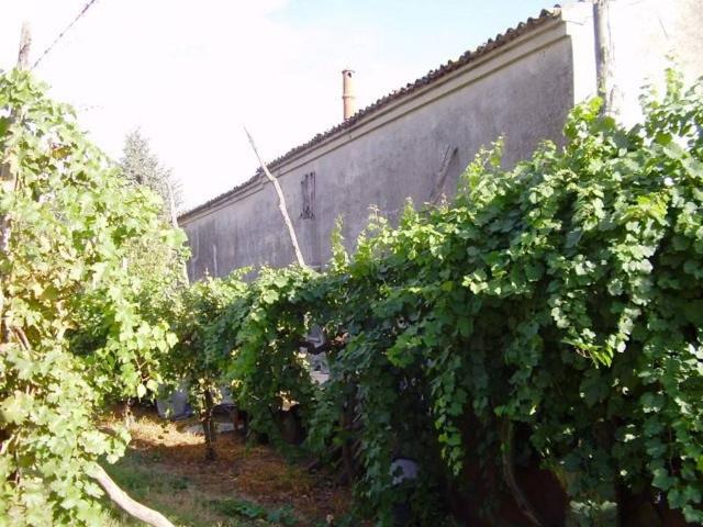 Rustico in vendita a Unione Terre e Fiumi, Guarda Ferrarese