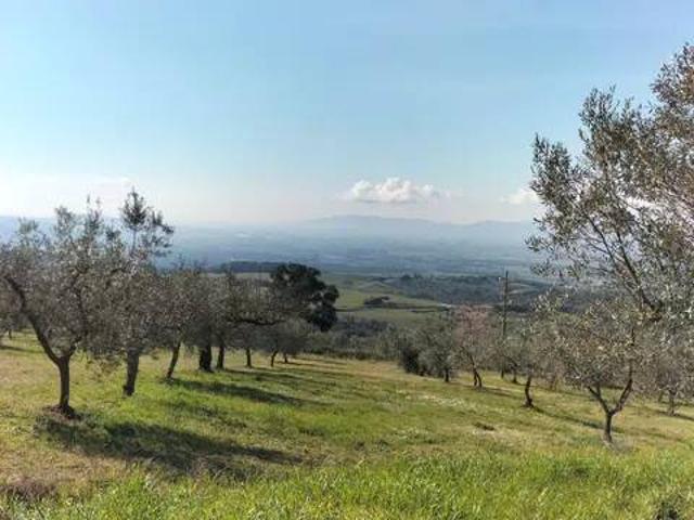 Rustico in vendita a Roccastrada, Grosseto