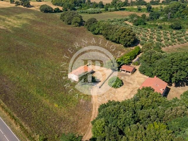 Rustico in vendita a Montemassi, Roccastrada