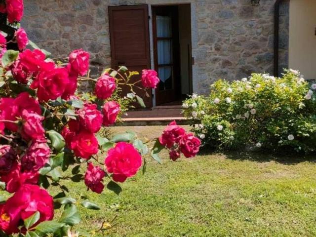 Rustico in vendita a I Sodarini, Roccastrada