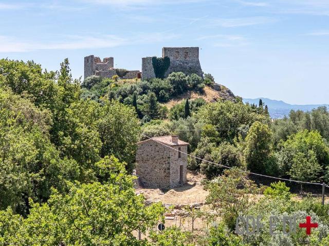 Rustico in vendita a Roccastrada, Toscana