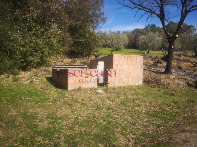 Rustico in vendita a Roccastrada, Toscana