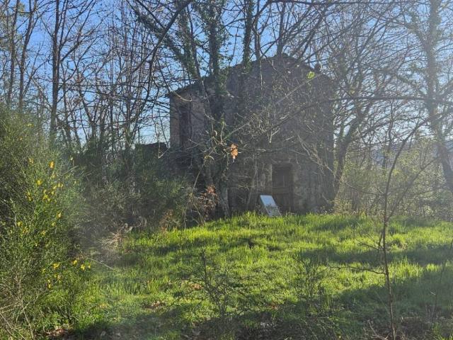 Rustico in vendita a I Sodarini, Roccastrada