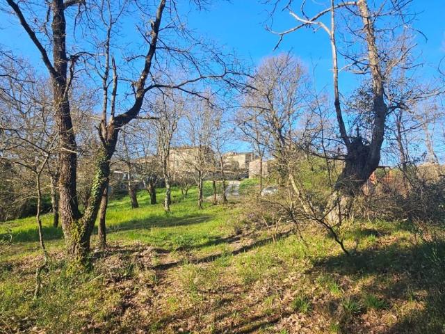Rustico in vendita a Torniella, Roccastrada