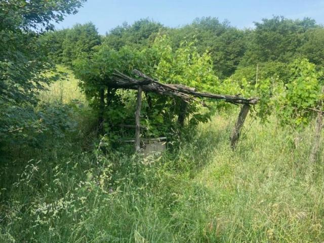 Rustico in vendita a Roccastrada, Grosseto