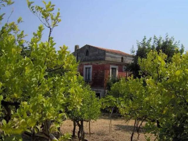 Rustico in vendita a Puglia, Foggia