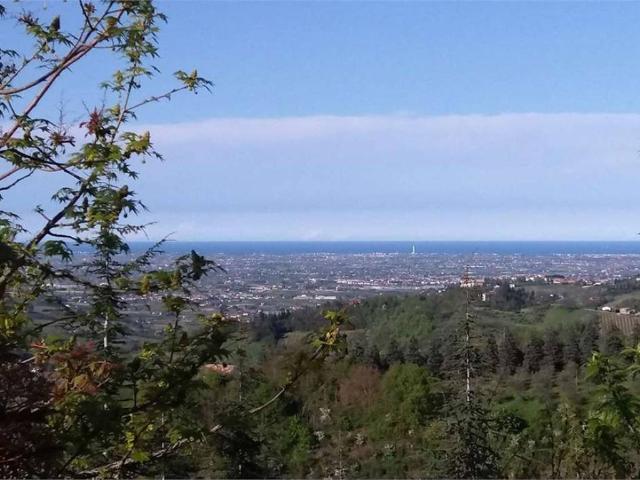 Rustico in vendita a Monteleone, Roncofreddo