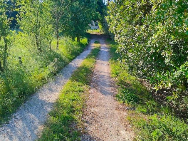 Rustico in vendita a Roncofreddo, Reggio Emilia