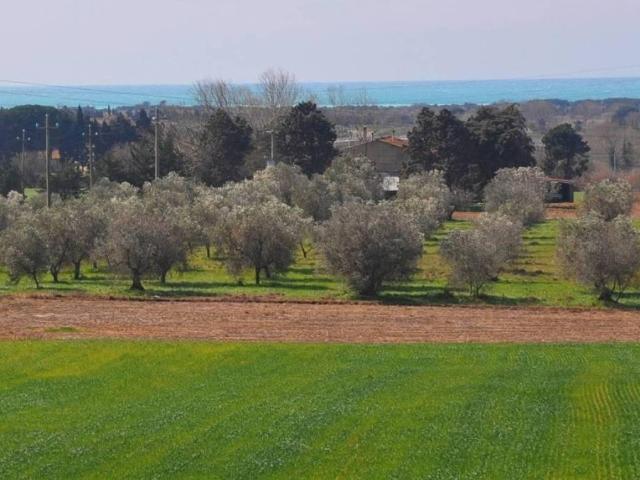 Rustico in vendita a Rosignano Marittimo, Toscana