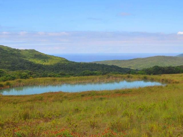 Rustico in vendita a Cafaggio, Rosignano Marittimo