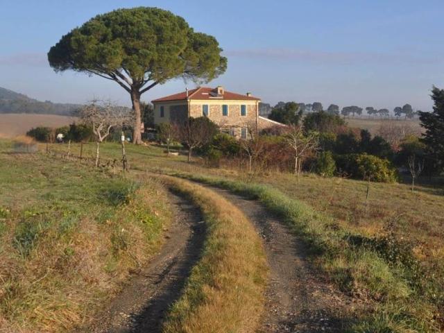 Rustico in vendita a Rosignano Marittimo, Toscana