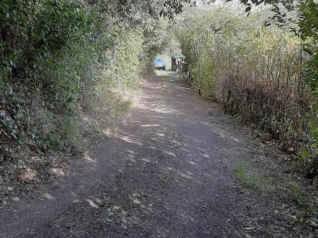 Rustico in vendita a Rosignano Marittimo, Toscana