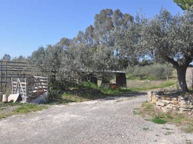 Rustico in vendita a Il Fondino, Rosignano Marittimo